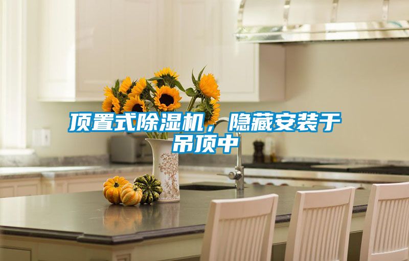 頂置式除濕機(jī)，隱藏安裝于吊頂中