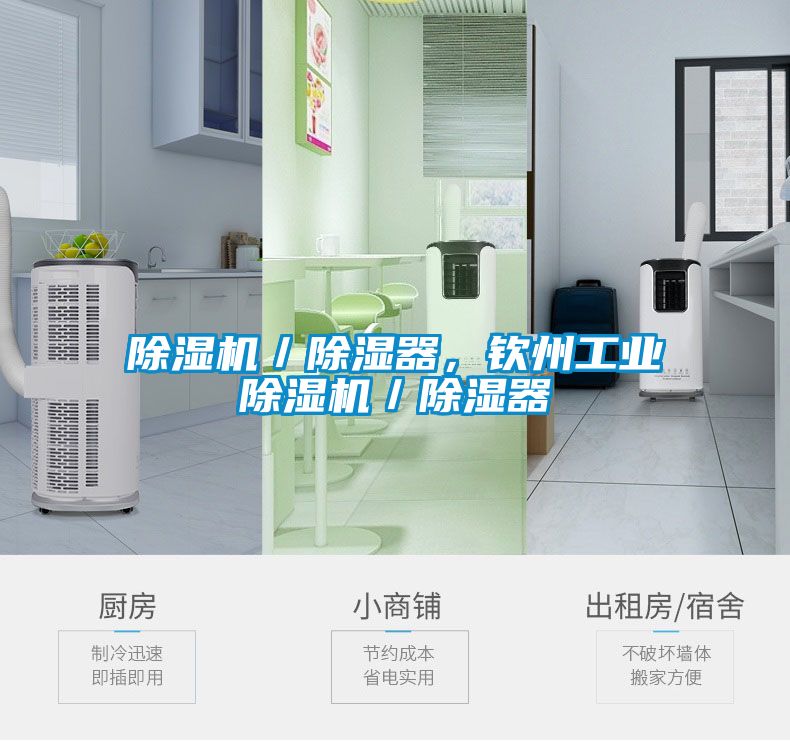 除濕機(jī)／除濕器，欽州工業(yè)除濕機(jī)／除濕器