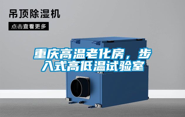重慶高溫老化房，步入式高低溫試驗室