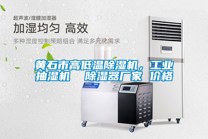 黃石市高低溫除濕機(jī)，工業(yè)抽濕機(jī)  除濕器廠家 價(jià)格