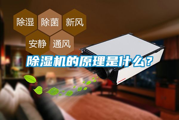 除濕機(jī)的原理是什么？