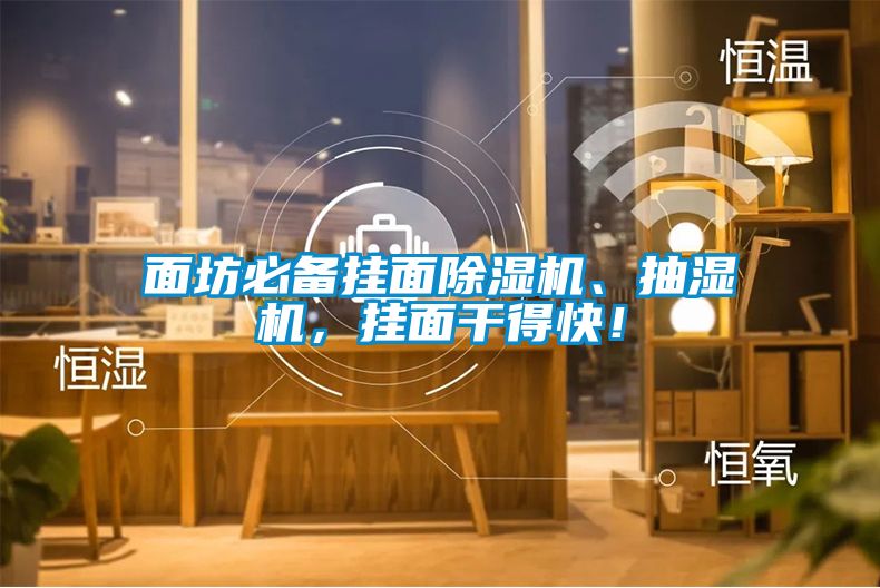 面坊必備掛面除濕機、抽濕機，掛面干得快！