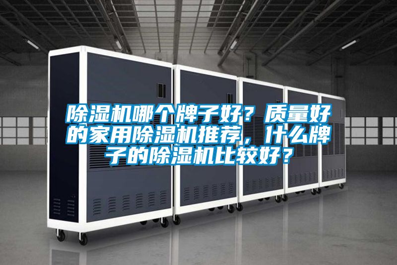 除濕機(jī)哪個(gè)牌子好？質(zhì)量好的家用除濕機(jī)推薦，什么牌子的除濕機(jī)比較好？