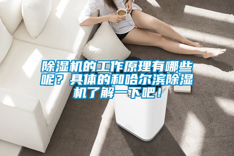 除濕機的工作原理有哪些呢？具體的和哈爾濱除濕機了解一下吧！