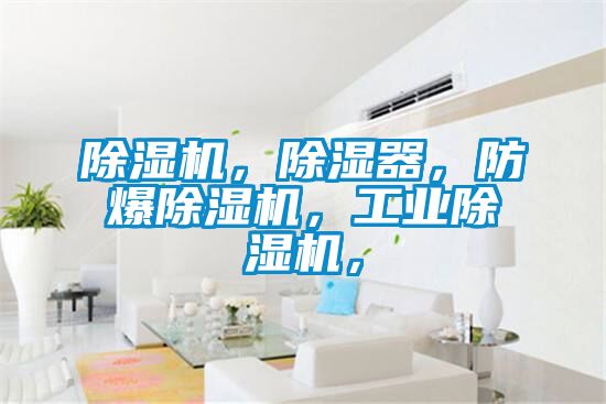 除濕機(jī)，除濕器，防爆除濕機(jī)，工業(yè)除濕機(jī)，
