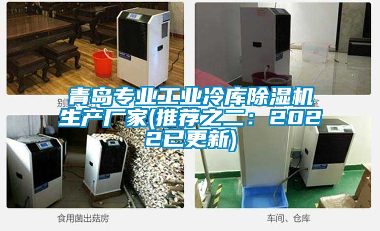 青島專(zhuān)業(yè)工業(yè)冷庫(kù)除濕機(jī)生產(chǎn)廠家(推薦之二：2022已更新)