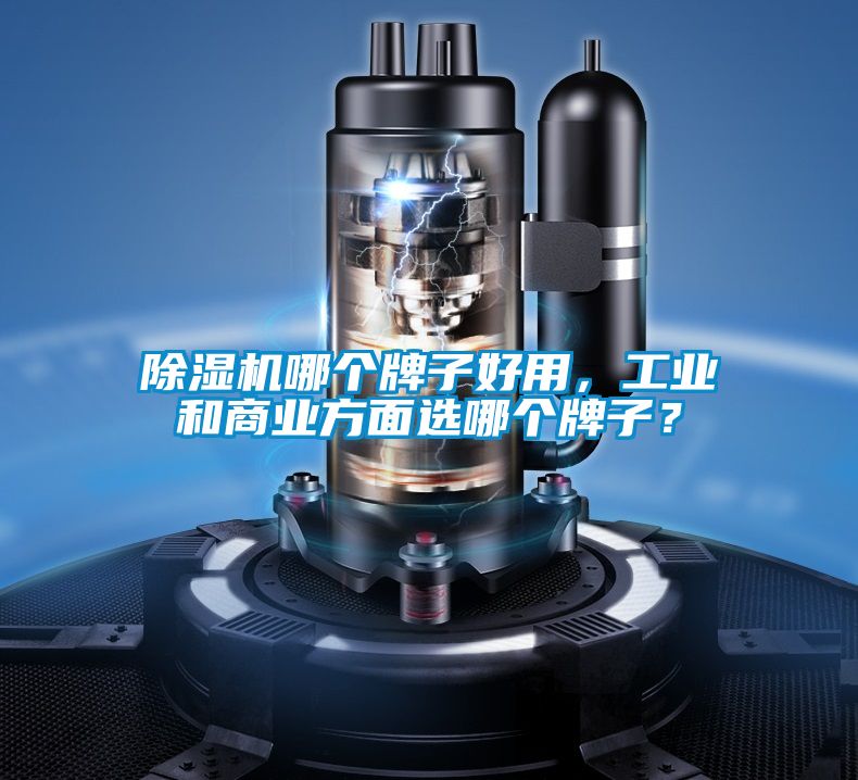 除濕機(jī)哪個(gè)牌子好用，工業(yè)和商業(yè)方面選哪個(gè)牌子？