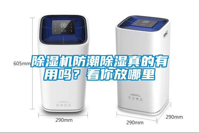除濕機(jī)防潮除濕真的有用嗎？看你放哪里