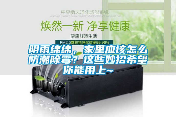 陰雨綿綿，家里應(yīng)該怎么防潮除霉？這些妙招希望你能用上~