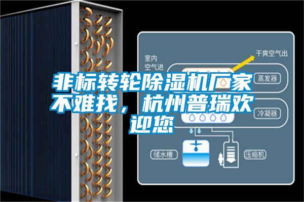 非標轉(zhuǎn)輪除濕機廠家不難找，杭州普瑞歡迎您