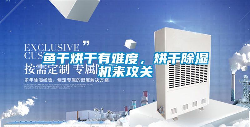 魚干烘干有難度，烘干除濕機來攻關(guān)