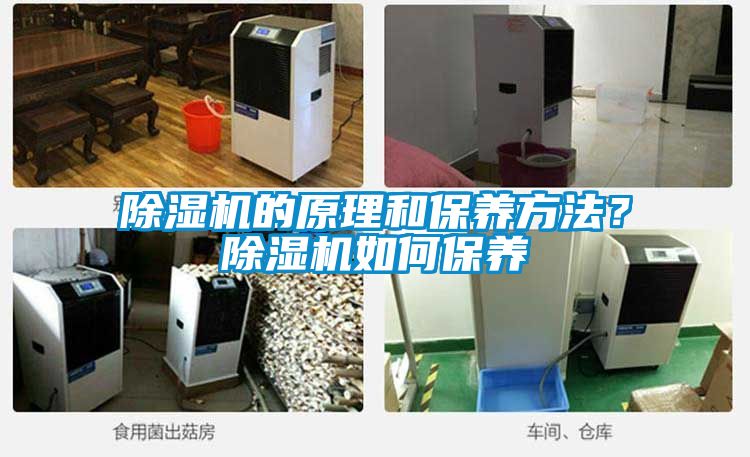 除濕機(jī)的原理和保養(yǎng)方法？除濕機(jī)如何保養(yǎng)