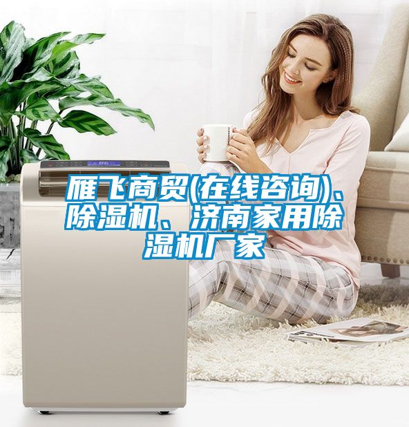 雁飛商貿(mào)(在線咨詢)、除濕機、濟南家用除濕機廠家