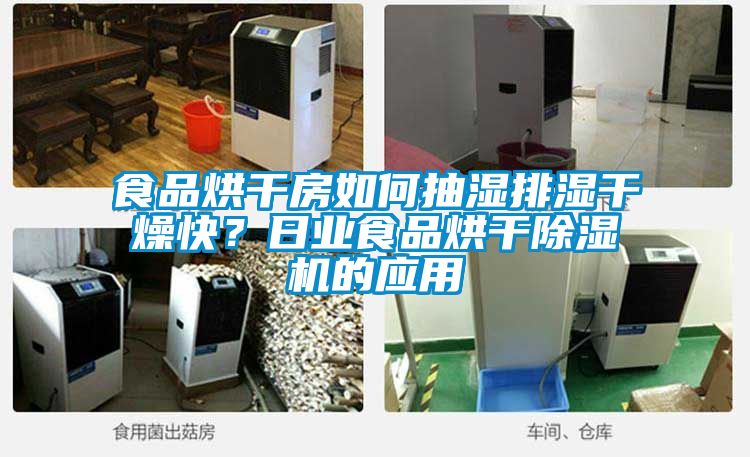 食品烘干房如何抽濕排濕干燥快？日業(yè)食品烘干除濕機(jī)的應(yīng)用