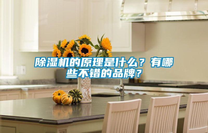 除濕機(jī)的原理是什么？有哪些不錯(cuò)的品牌？