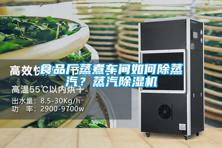 食品廠蒸煮車間如何除蒸汽？蒸汽除濕機
