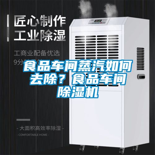 食品車間蒸汽如何去除？食品車間除濕機