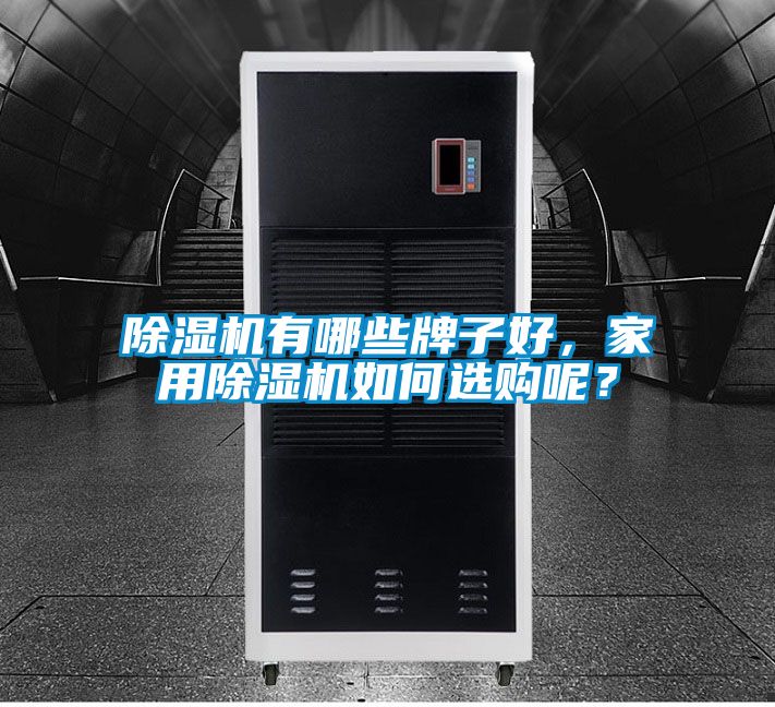除濕機(jī)有哪些牌子好，家用除濕機(jī)如何選購呢？