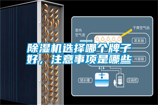 除濕機(jī)選擇哪個(gè)牌子好，注意事項(xiàng)是哪些