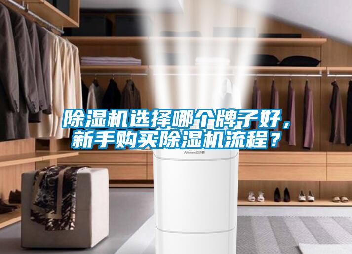 除濕機(jī)選擇哪個(gè)牌子好，新手購(gòu)買(mǎi)除濕機(jī)流程？