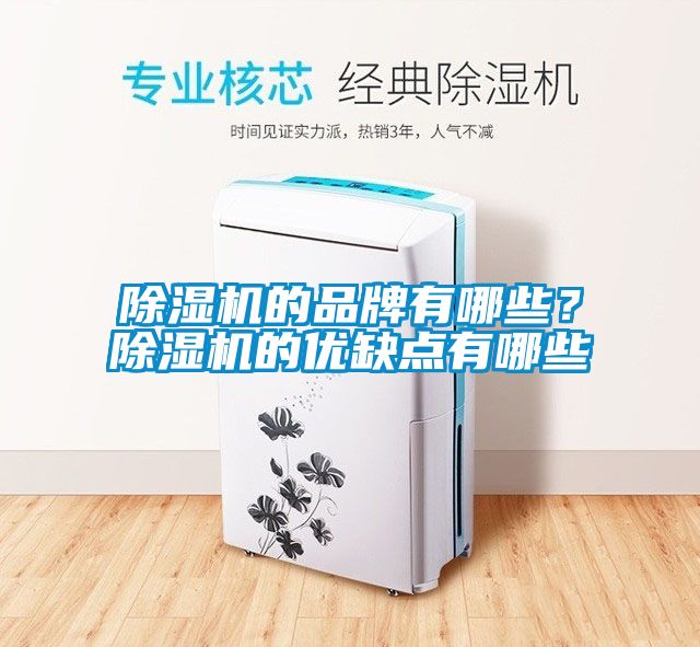 除濕機(jī)的品牌有哪些？除濕機(jī)的優(yōu)缺點(diǎn)有哪些