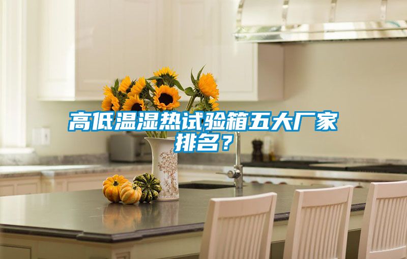 高低溫濕熱試驗箱五大廠家排名？