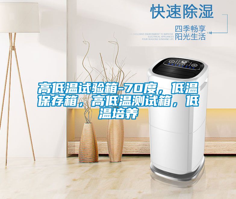 高低溫試驗(yàn)箱-70度，低溫保存箱，高低溫測(cè)試箱，低溫培養(yǎng)